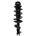 Complete Strut Assembly: Includes Strut, Coil Spring and Mount