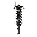 Complete Strut Assembly: Includes Strut, Coil Spring and Mount