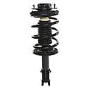 Complete Strut Assembly: Includes Strut, Coil Spring and Mount