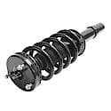 Complete Strut Assembly: Includes Strut, Coil Spring and Mount