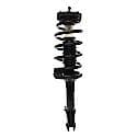 Complete Strut Assembly: Includes Strut, Coil Spring and Mount