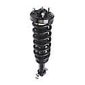 Complete Strut Assembly: Includes Strut, Coil Spring and Mount