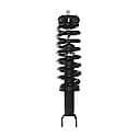 Complete Strut Assembly: Includes Strut, Coil Spring and Mount