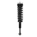 Complete Strut Assembly: Includes Strut, Coil Spring and Mount