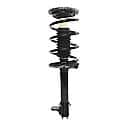 Complete Strut Assembly: Includes Strut, Coil Spring and Mount