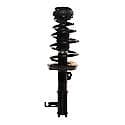 Complete Strut Assembly: Includes Strut, Coil Spring and Mount