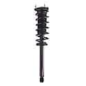 Suspension Strut and Coil Spring Assembly