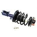 Complete Strut Assembly: Includes Strut, Coil Spring, and Mount