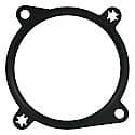 Fuel Injection Throttle Body Mounting Gasket