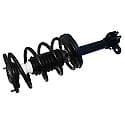 Complete Strut Assembly: Includes Strut, Coil Spring, and Mount