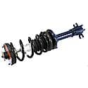 Complete Strut Assembly: Includes Strut, Coil Spring, and Mount