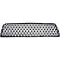 Center Bumper Grille