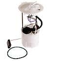 Fuel Pump Module Assembly: With Float Arm, Seal