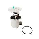 Fuel Pump Module Assembly: With Float Arm, Seal