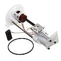 Fuel Pump Module Assembly: With Float Arm, Seal