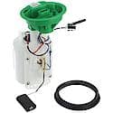 Fuel Pump Module Assembly: With Float Arm, Seal