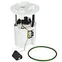 Fuel Pump Module Assembly: With Float Arm, Seal