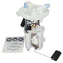 Fuel Pump Module Assembly: With Float Arm, Seal