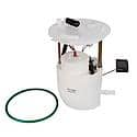 Fuel Pump Module Assembly: With Float Arm, Seal