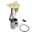 Fuel Pump Module Assembly: With Float Arm, Seal