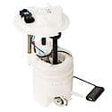 Fuel Pump Module Assembly: With Float Arm