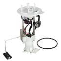 Fuel Pump Module Assembly: With Float Arm, Seal