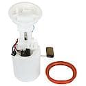 Fuel Pump Module Assembly: With Float Arm, Seal