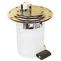 Fuel Pump Module Assembly: With Float Arm