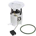 Fuel Pump Module Assembly: With Float Arm, Seal