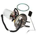 Fuel Pump Module Assembly: With Float Arm, Seal