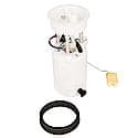 Fuel Pump Module Assembly: With Float Arm, Seal, Lock Ring