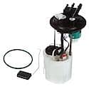 Fuel Pump Module Assembly: With Float Arm, Seal