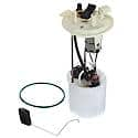 Fuel Pump Module Assembly: With Float Arm, Seal