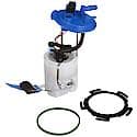 Fuel Pump Module Assembly: With Float Arm