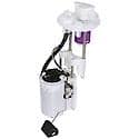 Fuel Pump Module Assembly: With Float Arm