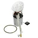 Fuel Pump Module Assembly: With Float Arm, Seal