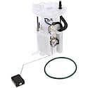 Fuel Pump Module Assembly: With Float Arm