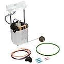 Fuel Pump Module Assembly: With Float Arm, Seal