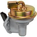 Mechanical Fuel Pump 1496433