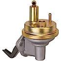 Mechanical Fuel Pump 2542762: Includes Gasket