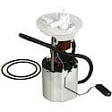 Fuel Pump Module Assembly: With Float Arm, Seals