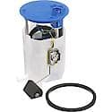 Fuel Pump Module Assembly: With Float Arm