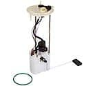 Fuel Pump Module Assembly: With Float Arm, Seal