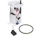 Fuel Pump Module Assembly: With Float Arm, Seal