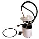 Fuel Pump Module Assembly: With Float Arm, Seal