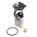 Fuel Pump Module Assembly: With Float Arm, Seal