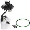 Fuel Pump Module Assembly: With Float Arm, Seal