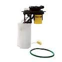 Fuel Pump Module Assembly: With Float Arm, Seal