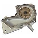 OES Replacement Water Pump