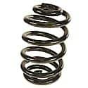 Lesjofors Coil Spring